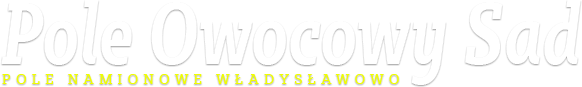 Pole Namiotowe władysławowo Owocowy Sad